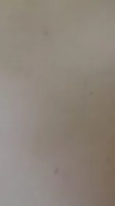 老婆是婊子